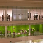 4 MUSEOS + 40 OBRAS