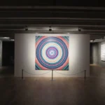 COLECCIÓN EN FOCO: GEOMETRÍA ARGENTINA