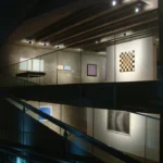 DE LA LUZ A LA IMAGEN