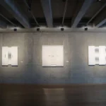 DE LA LUZ A LA IMAGEN