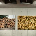 DESAPARECIENDO – Liu Bolin