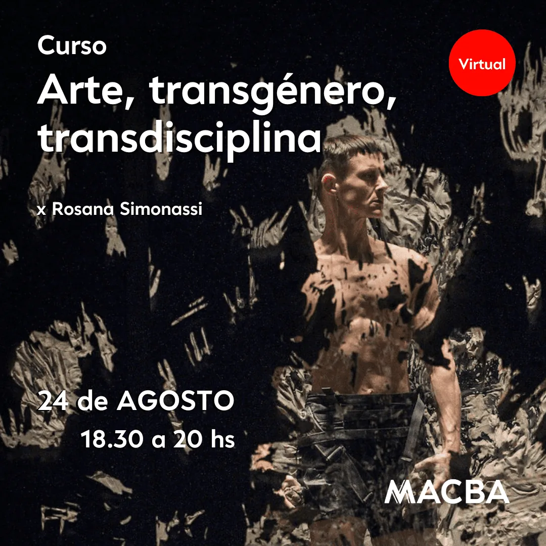 Curso Arte, transgénero, transdisciplina