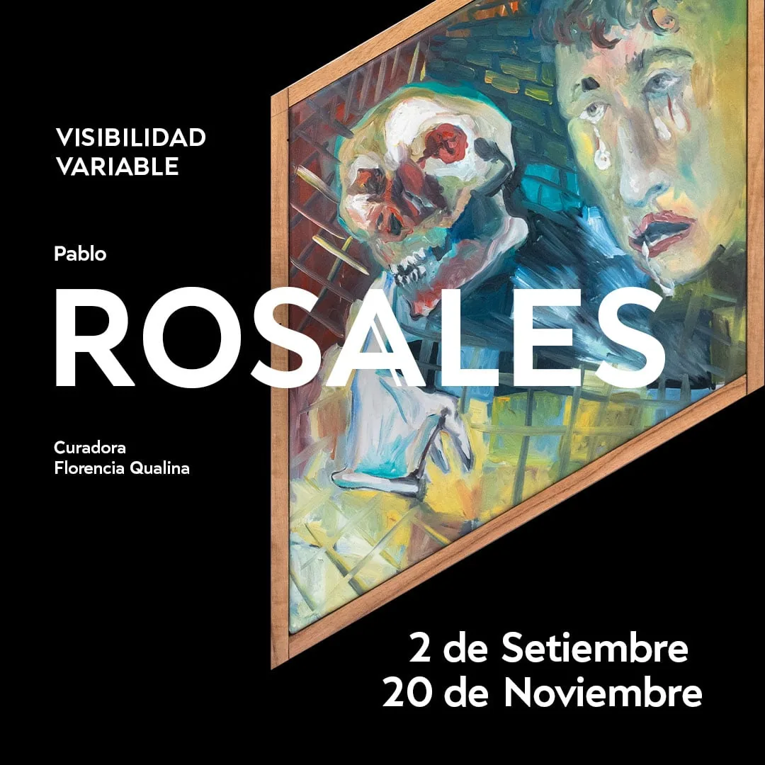 Visibilidad Variable – Pablo Rosales