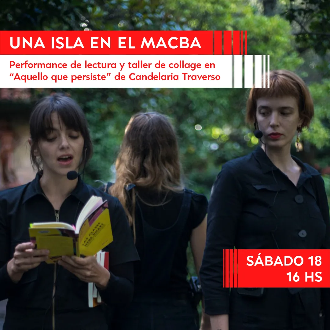 Una isla en el MACBA