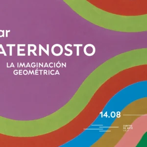César PATERNOSTO | LA IMAGINACIÓN GEOMÉTRICA