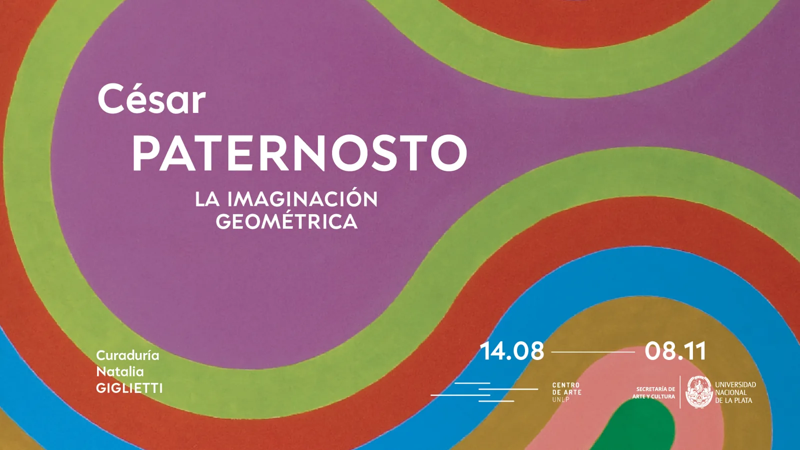 César PATERNOSTO | LA IMAGINACIÓN GEOMÉTRICA